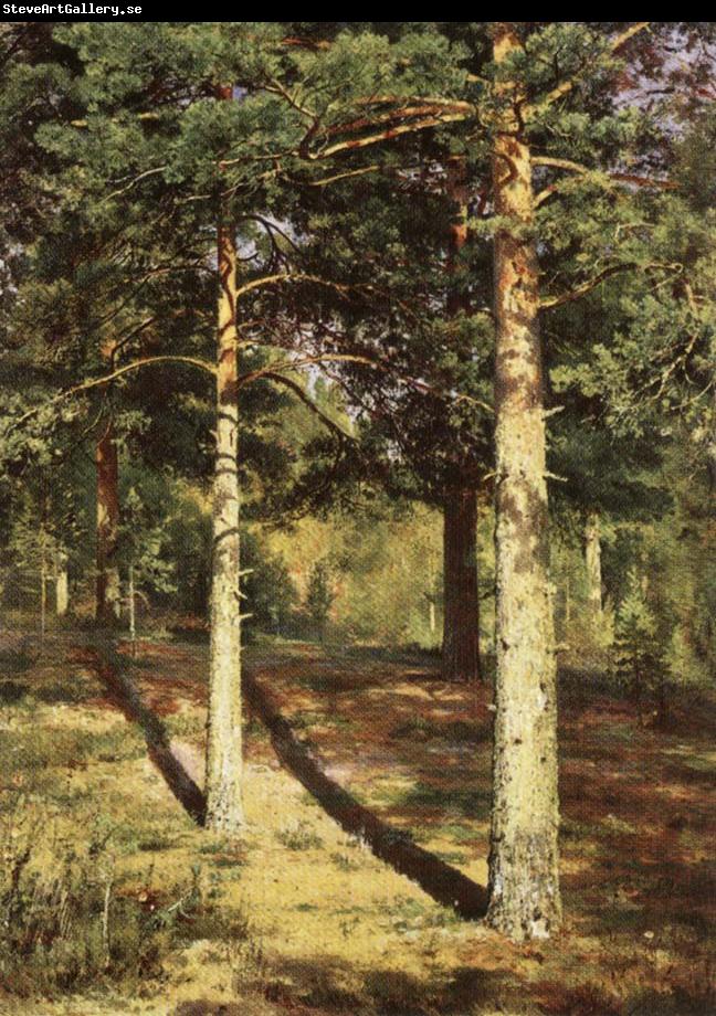 Ivan Shishkin Pine Wood Illuminated by the Sun